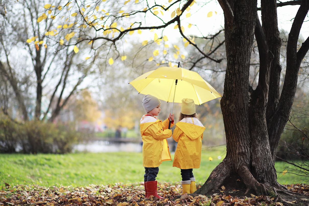 Bild Gefühle Entdecken